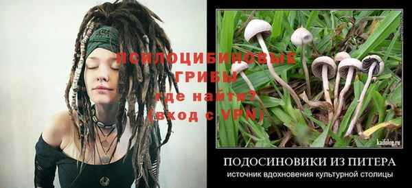 ешки Горно-Алтайск