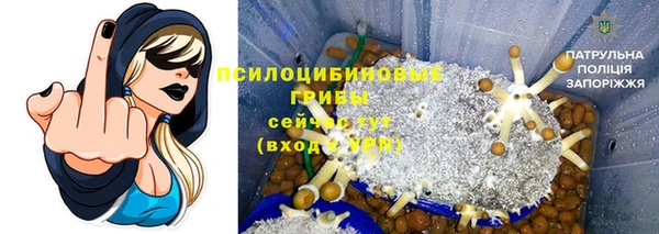мяу мяу кристалл Горняк