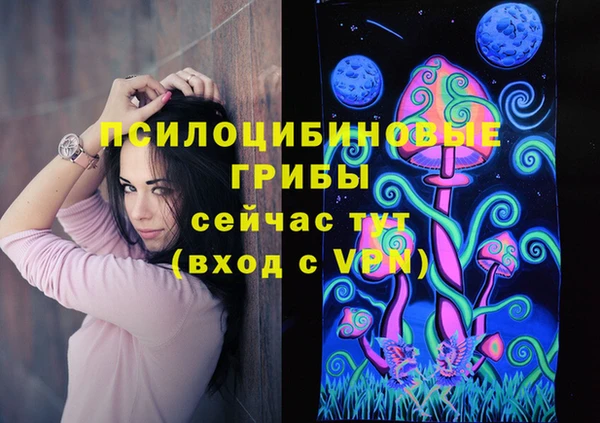 ешки Горно-Алтайск