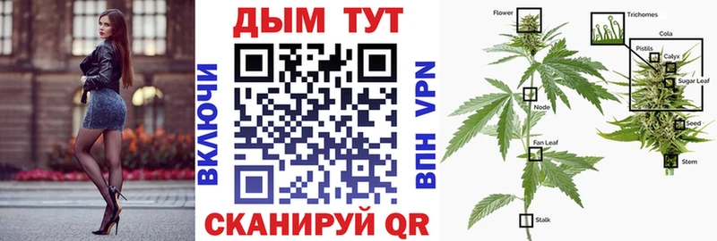 Конопля AK-47  Купить где  Новоульяновск 